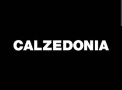 ��������-�����������. �� ������. ����� ������������ 93� ����