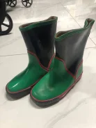 ������ ���������. 31 ����