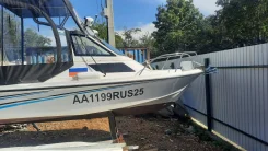 Gayar. 2024 ���, ����� 6��., ��������� ���������, 60��.�., ������ ����