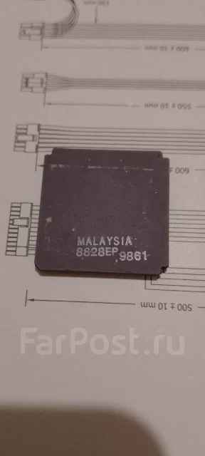 AMD ����