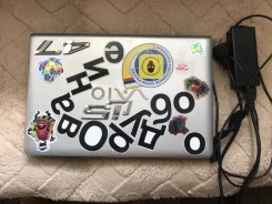 Sony VAIO VPC-EB4E1R. 15.5", 2,5����, ��� 8 ��, ���� 500���, WiFi: 1, Bluetooth: 1, ����������� �� 1��. ����