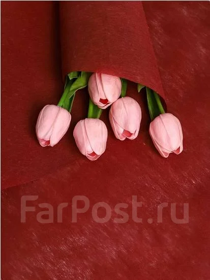 ���� 50��*15� �������� ����