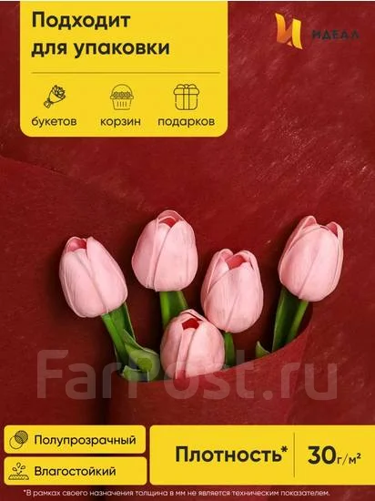 ���� 50��*15� �������� ����