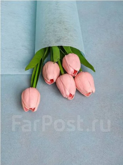 ���� 50��*15� ������� ����