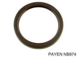 ������� ��������� ��� Payen NB974 NB974 ����