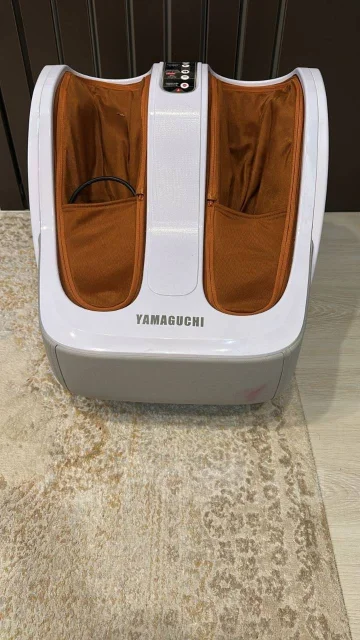 ���������. ����
