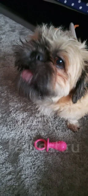 ��-���. ����