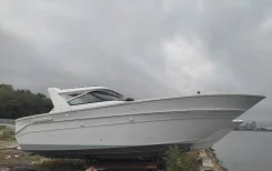 Searay. 2000 ���, ����� 10��., ��������� ������������, 500��.�., ������ ����