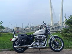 Harley-Davidson Sportster 1200. 1 200����. ��., ��������, ���������, ��� ������� ����