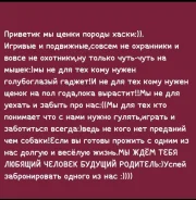 �����. ����
