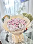 ��������. ����