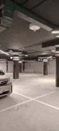 ����� �����������. ����