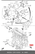 ������ �������� ����� ��� Mazda 6, Mazda 3, Mazda 5 mazda lf01-18-501 LF0118501 ����