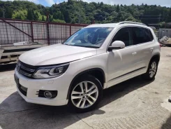 Volkswagen Tiguan. WVGZZZ, 2.0 TSI ����