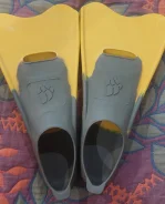 �����. ����
