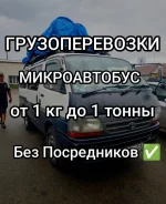 �������������. ����
