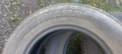Yokoma. ������, ��� �����, 2015 ���, �/�, ����� 15 % ����