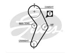 ������ ��� (����� � ������) Gates 5192XS 5192XS ����