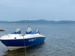 Yamaha SRV-20. ����� 6,3��., ��������� ���������, 100��.�., ������ ����