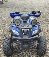 Grizzly 200. ��������, ��� ���\���, �� ����