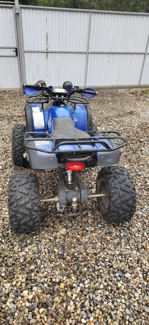 Grizzly 200. ��������, ��� ���\���, �� ����