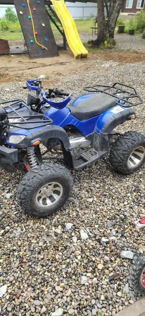 Grizzly 200. ��������, ��� ���\���, �� ����