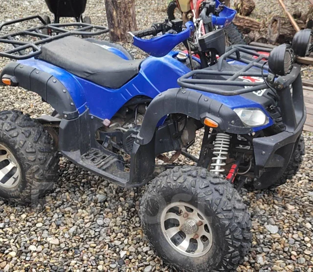Grizzly 200. ��������, ��� ���\���, �� ����