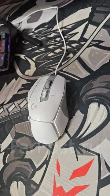 ���� ������������. ����