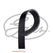 ������ ������������ XF Gates 7PK1793 7PK1793 ����