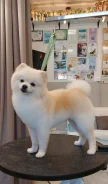 ����. ����