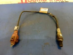 ������ ����������� Volkswagen GOLF 11279366613, �������� 03C906262Q ����