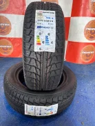 Nankang Snow Viva SV-1. ������, ��� �����, 2024 ���, ����� ����