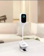 ���������. ����