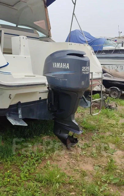 Searay. 1989 ���, ����� 7,3��., ��������� ���������, 225��.�., ������ ����