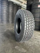 Teerex. �����������, 2025 ���, ����� ����