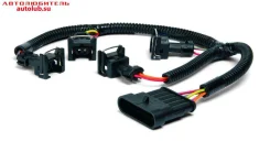 ���� �������� 4213,4216 ���� 3 Cargen 42163707070 ����