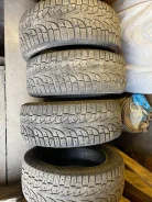 Pirelli Winter Ice Sport. ������, ����������, 2019 ���, �/�, ����� 30 % ����