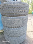 Bridgestone Blizzak DM-V1. ������, ��� �����, �/�, ����� 25 % ����