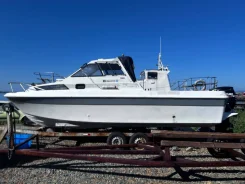 Yamaha FR-25. ����� 8��., ��������� ���������, 200��.�., ������ ����