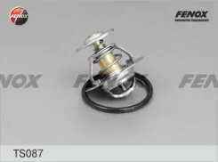 TS087_���������! Audi 10 ts087 Fenox TS087 ����