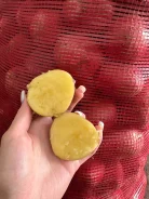 ���������. ����