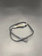 ����������� ������, ������ ���� 8946528280 8946528280 ����