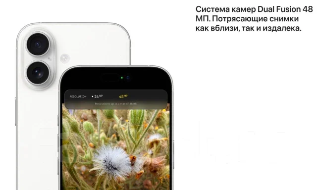 Apple iPhone 17. �����, 512 ��, �����, 3G, 4G LTE, 5G, NFC ����
