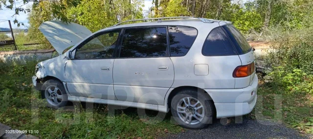 Toyota Ipsum ����