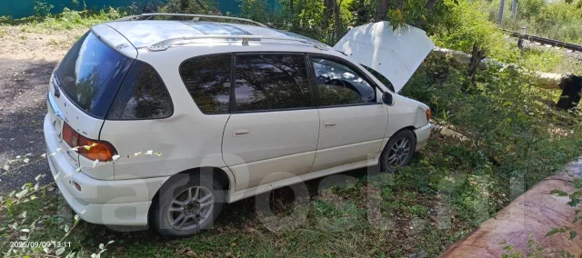 Toyota Ipsum ����