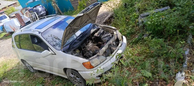 Toyota Ipsum ����
