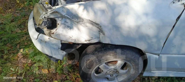 Toyota Ipsum ����