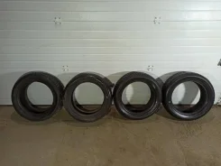 Tigar Sigura Stud