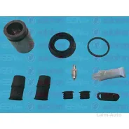 ���������� ��������� D42409C ����