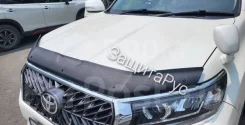 ��������� ������ ��������� ������������ �� ������ ���� ����